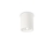 Ideal Lux stropna svjetiljka OAK ROUND bijela - ID150420