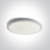 One Light plafonjera LED 36W WW IP20 100-240V bijela - DM67448A/W/W