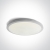 One Light plafonjera LED 24W WW IP20 100-240V bijela - DM67448/W/W