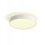 Philips HUE Devere L kupaonska stropna svjetiljka 8718696176542