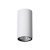 Vanjska stropna svjetiljka CECI, LED 3W, 230lm, 3000K, PROM 55, bijela - NL9220021