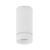 Stropna svjetiljka ESCA, GU10, LED max 1x10W, akril bijela - NL9387002