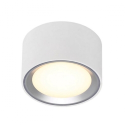 Stropna svjetiljka FALLON, LED 8,5W, 2700K, bijela čelik - 5701581415188