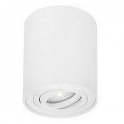Stropna svjetiljka GOZZANO, GU10, LED max 1x50W, bijela - NL820001
