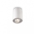 Stropna svjetiljka PILLAR GU10 1x50W 230V bijela - 8718696156193